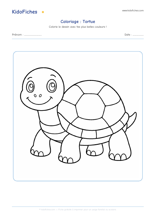 Coloriage Tortue — aperçu de la fiche
