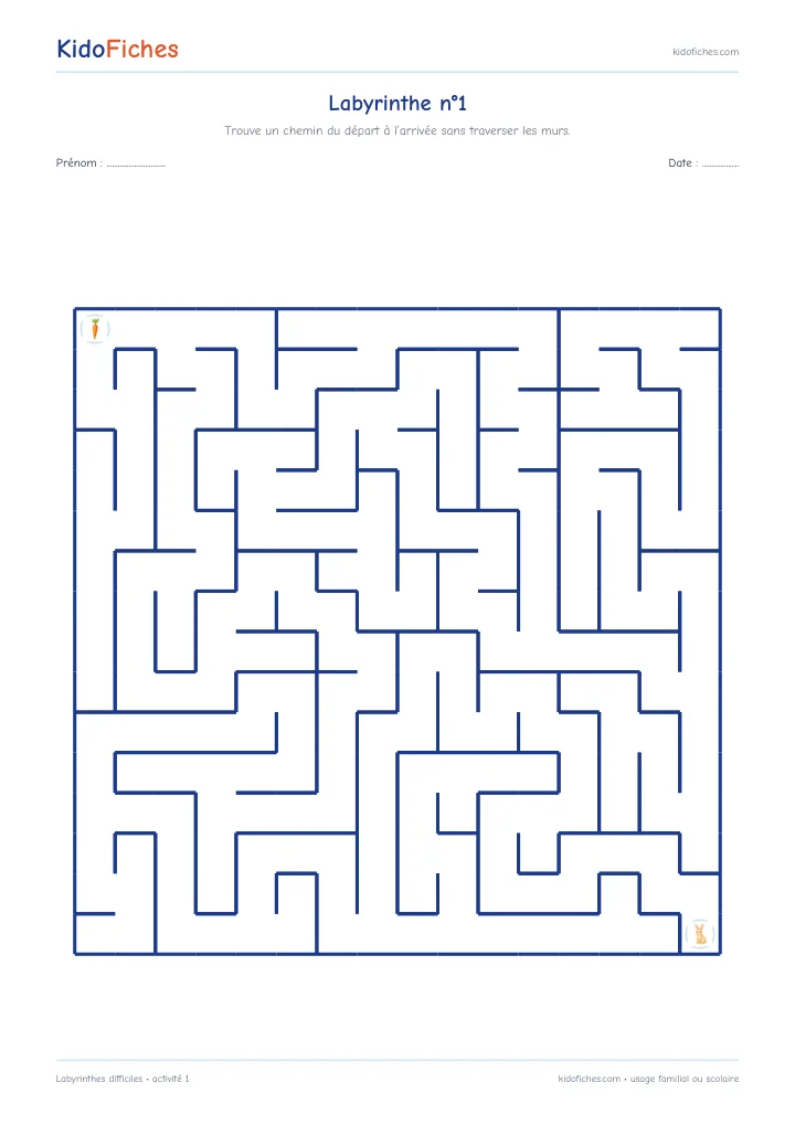 Activité 1 — Labyrinthes difficiles