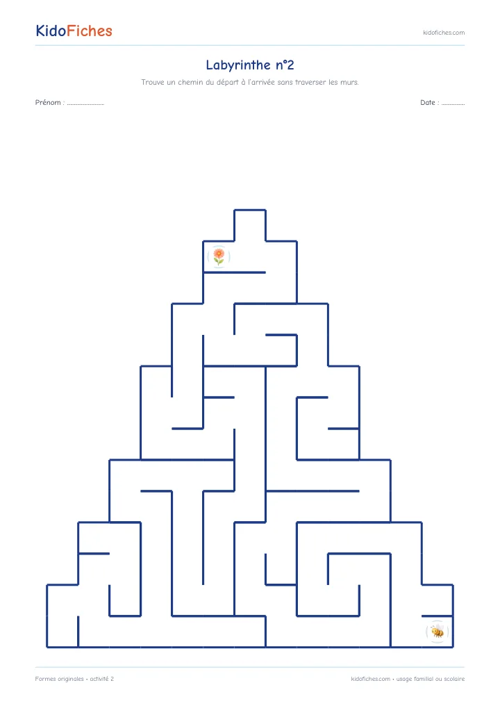Aperçu activité 2 — Formes originales