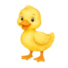 canard