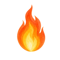 feu