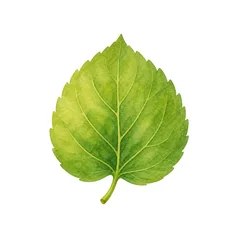 feuille