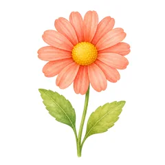 fleur
