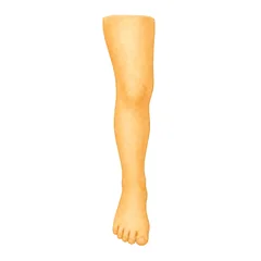 jambe