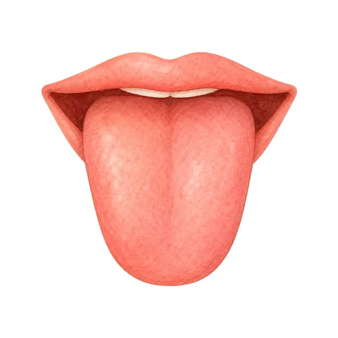 Illustration du mot langue