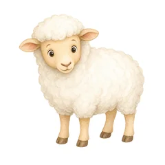 mouton