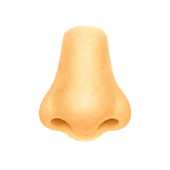 nez