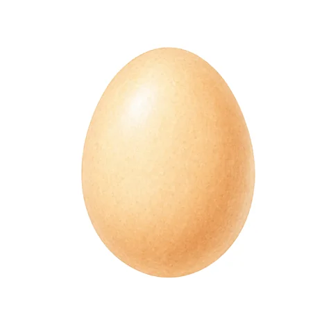 Œuf