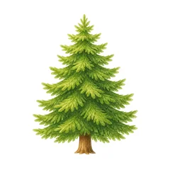 sapin